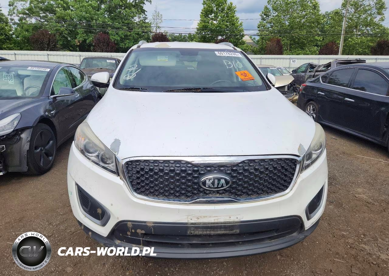 2016 Kia Sorento Lx VIN:5XYPGDA31GG044734 - 5