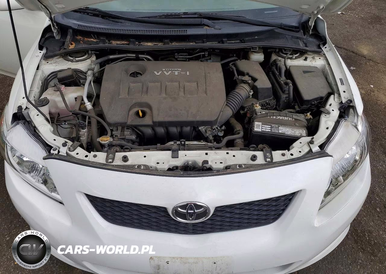 2009 Toyota Corolla Le VIN:JTDBL40E69J031019 - 11