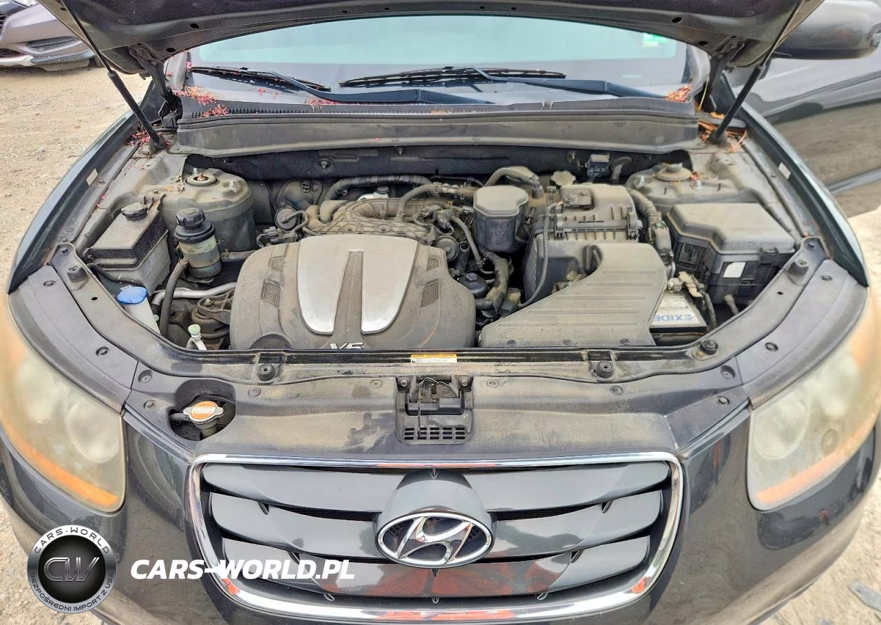 2010 Hyundai Santa Fe Limited VIN:5NMSK4AGXAH353790 - 12