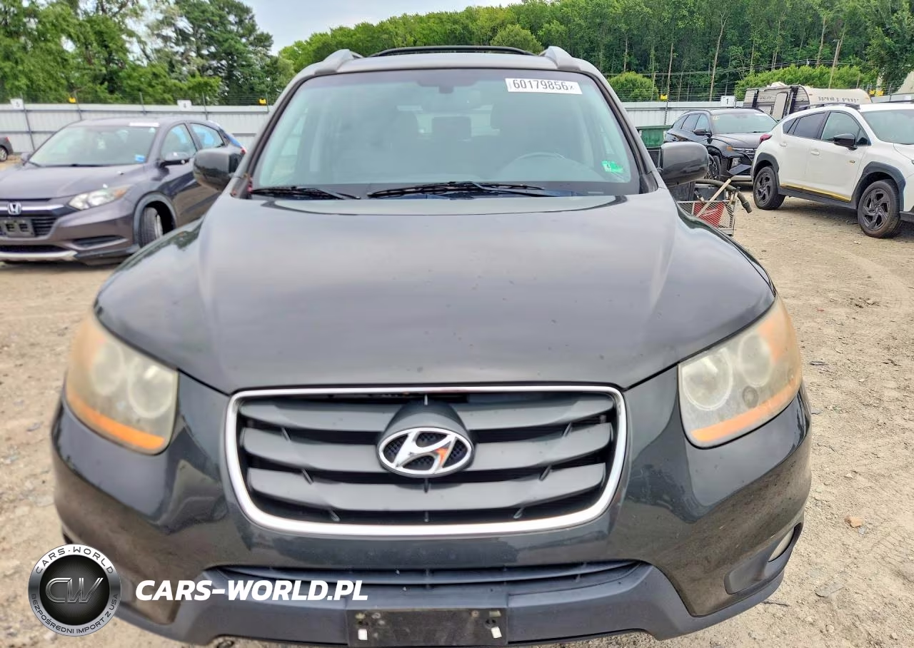 2010 Hyundai Santa Fe Limited VIN:5NMSK4AGXAH353790 - 5