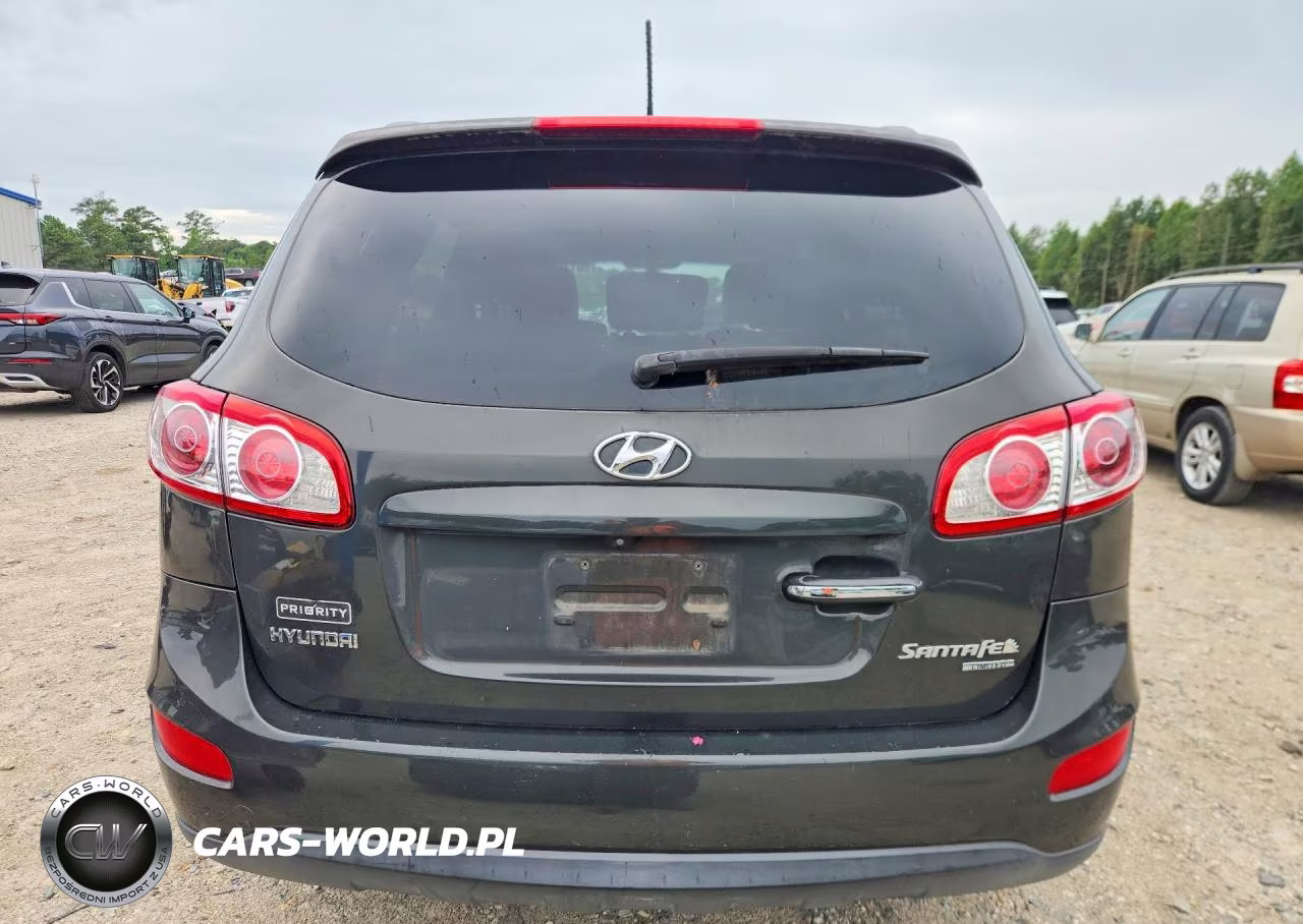 2010 Hyundai Santa Fe Limited VIN:5NMSK4AGXAH353790 - 6