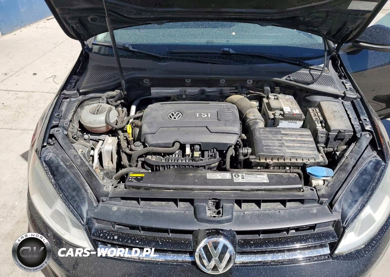 2015 Volkswagen Golf VIN:3VW217AU4FM011747 - 11