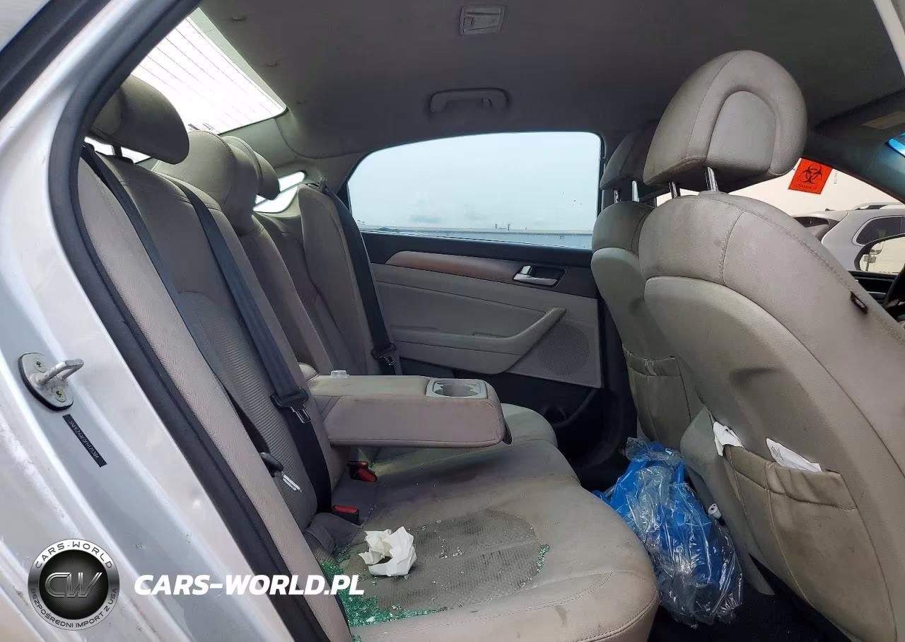 2015 Hyundai Sonata Se VIN:5NPE24AF0FH171384 - 10
