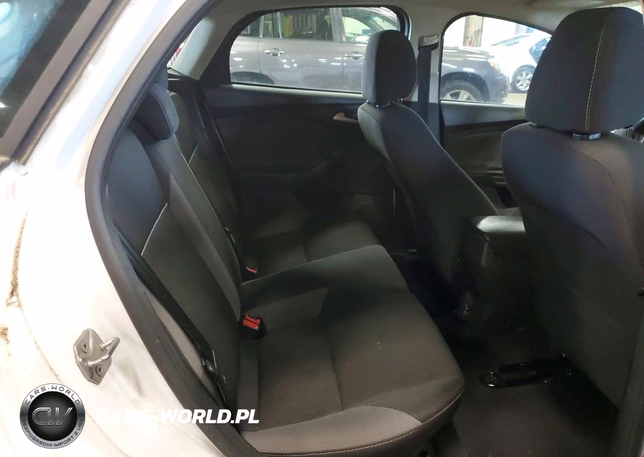2014 Ford Focus Se VIN:1FADP3K29EL452893 - 10