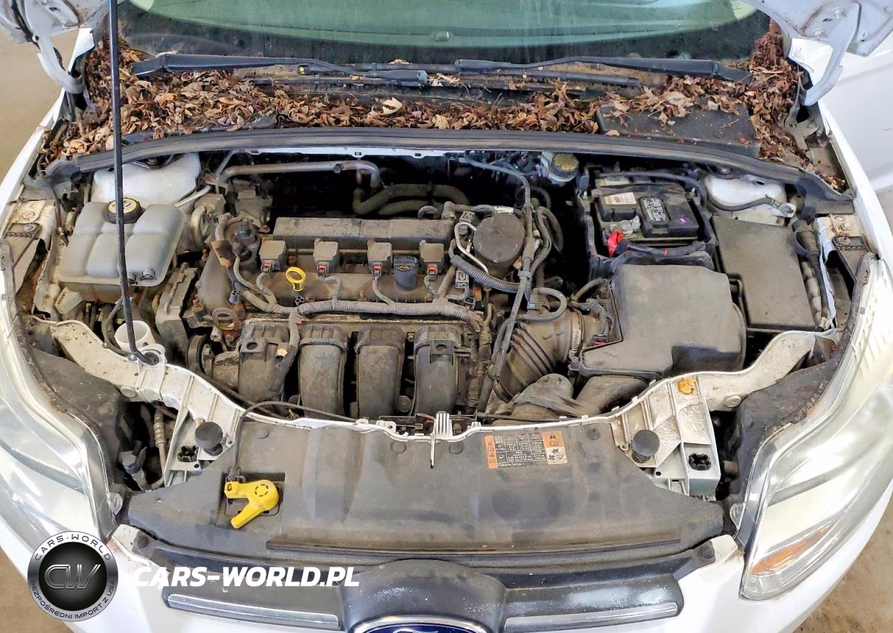 2014 Ford Focus Se VIN:1FADP3K29EL452893 - 11