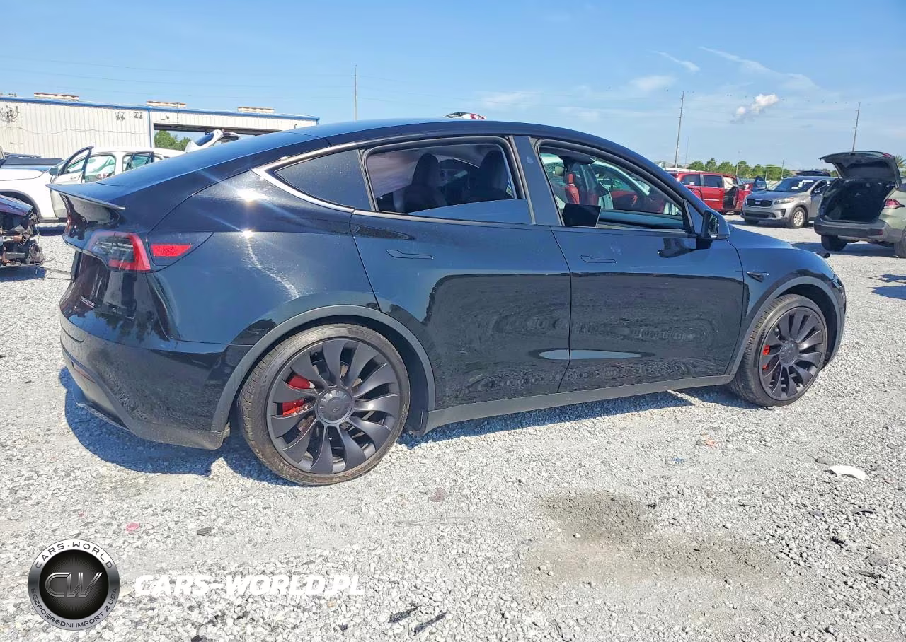 2023 Tesla Model Y VIN:7SAYGDEF6PF844075 - 3
