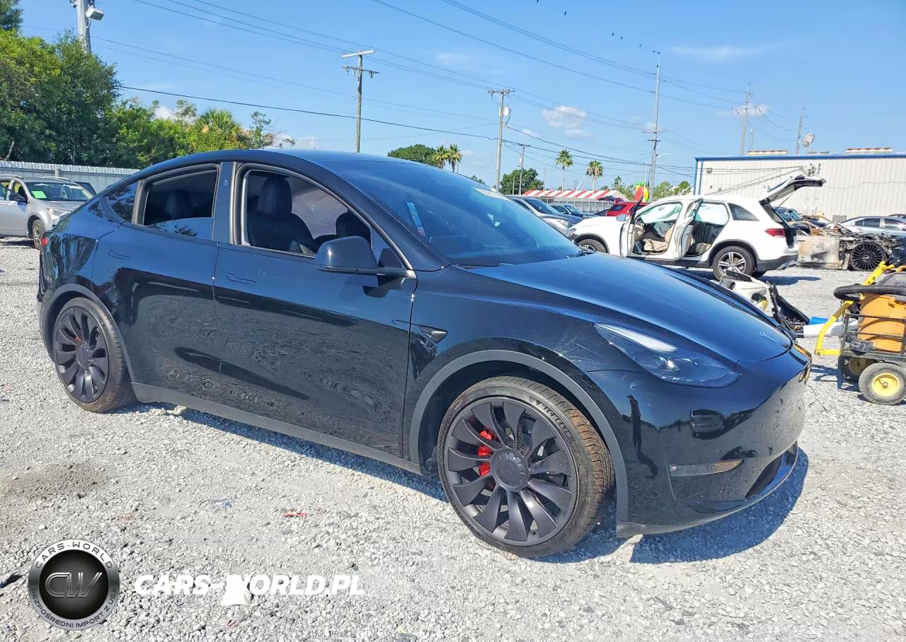 2023 Tesla Model Y VIN:7SAYGDEF6PF844075 - 4