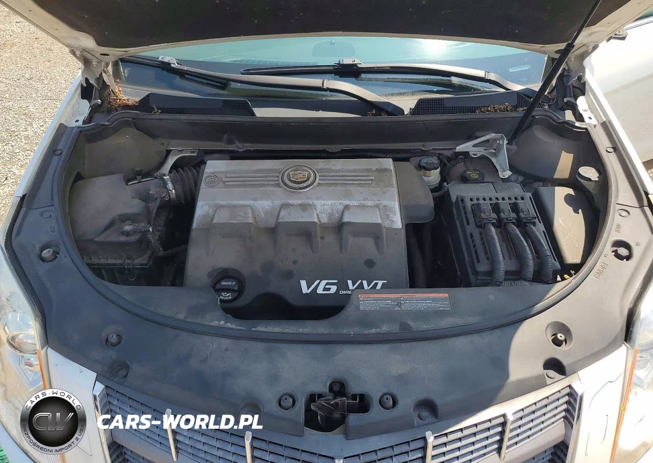 2010 Cadillac Srx Performance Collection VIN:3GYFNEEY6AS561380 - 12