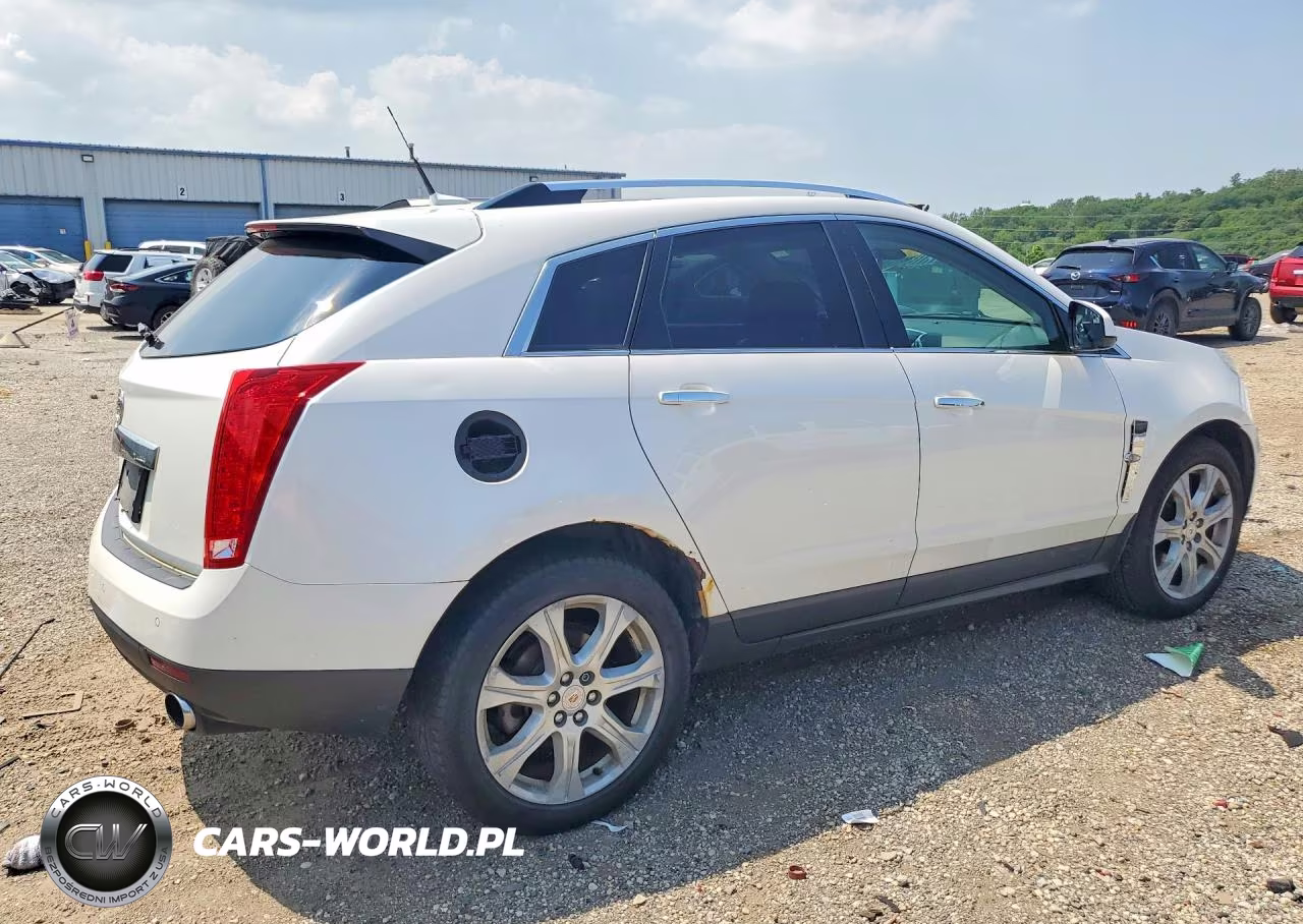 2010 Cadillac Srx Performance Collection VIN:3GYFNEEY6AS561380 - 3