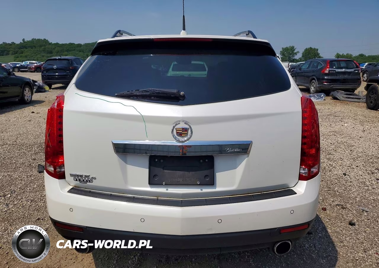 2010 Cadillac Srx Performance Collection VIN:3GYFNEEY6AS561380 - 6