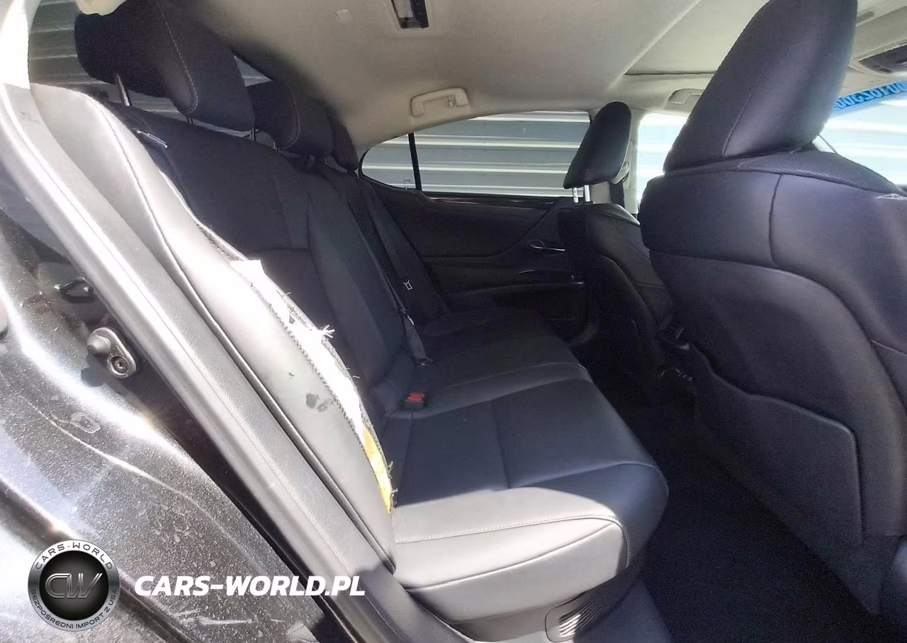 2020 Lexus Es 300H Base VIN:58AC21B18LU006701 - 10