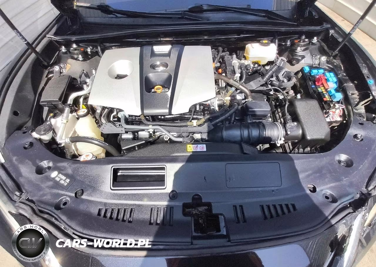 2020 Lexus Es 300H Base VIN:58AC21B18LU006701 - 11