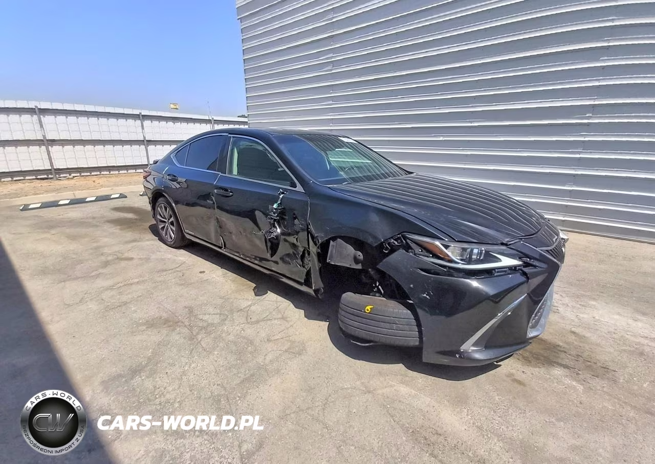 2020 Lexus Es 300H Base VIN:58AC21B18LU006701 - 4