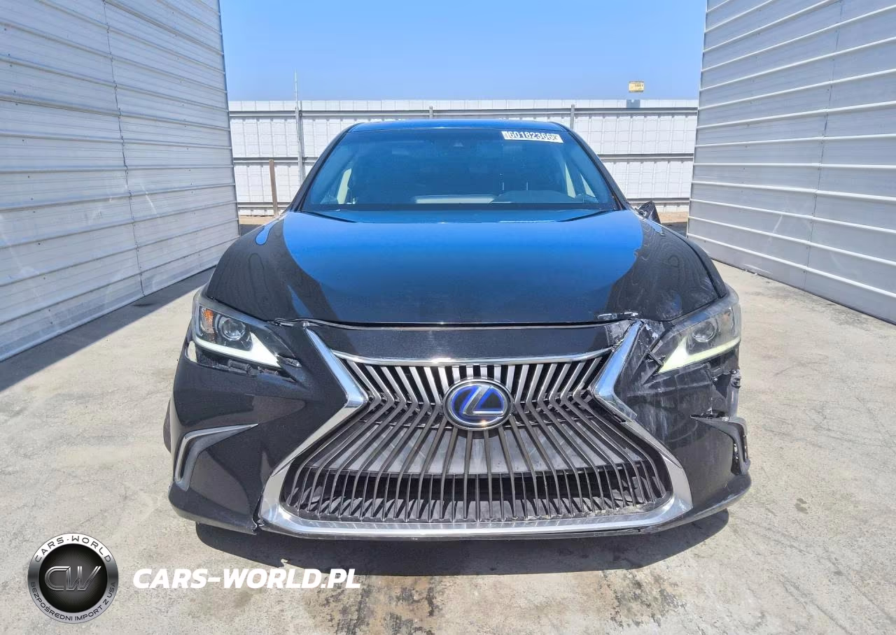 2020 Lexus Es 300H Base VIN:58AC21B18LU006701 - 5