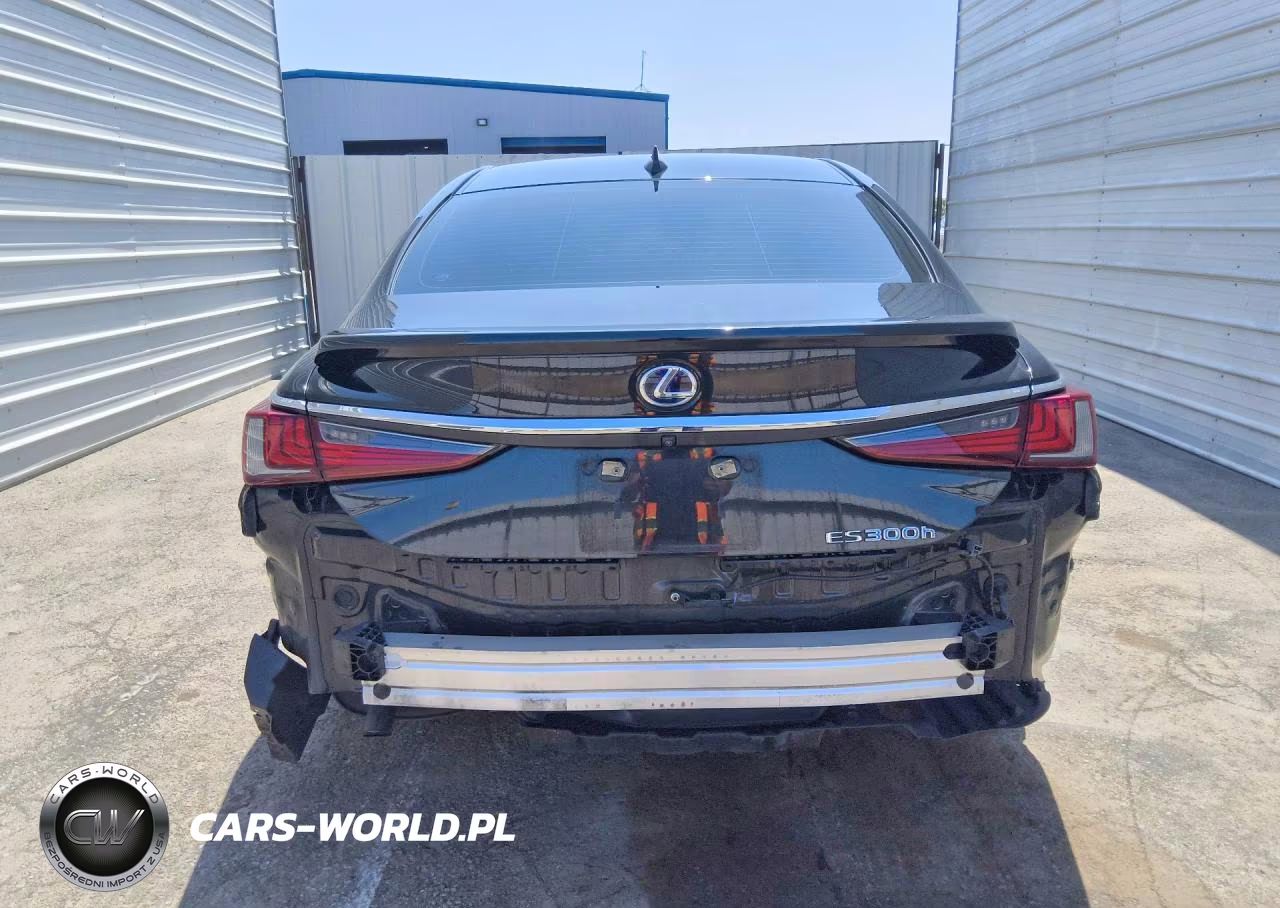 2020 Lexus Es 300H Base VIN:58AC21B18LU006701 - 6