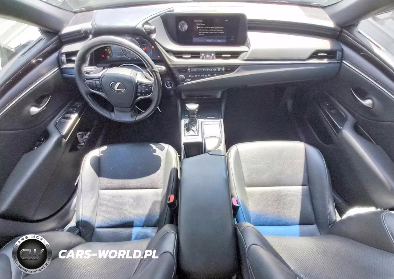 2020 Lexus Es 300H Base VIN:58AC21B18LU006701 - 8