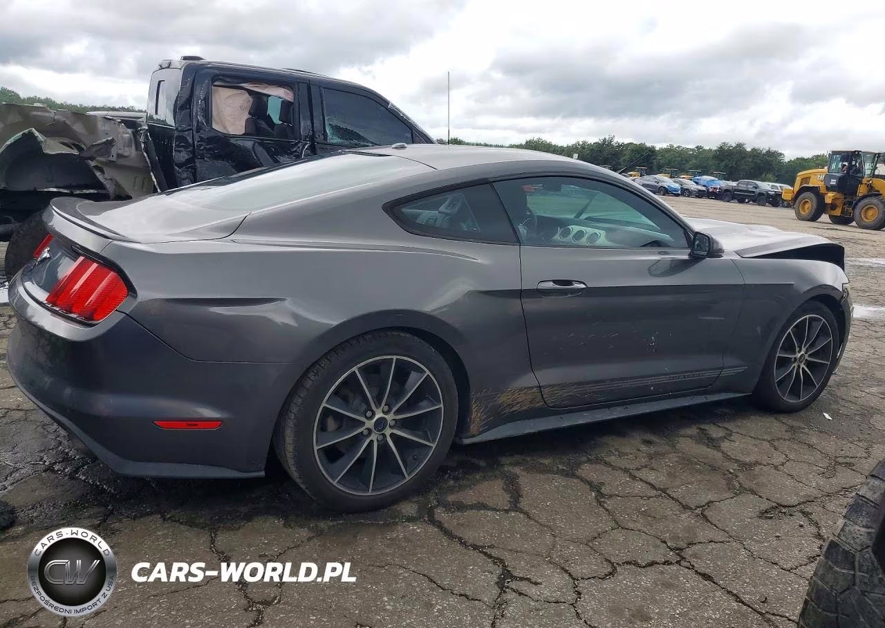 2016 Ford Mustang Bullitt VIN:1FA6P8TH8G5336505 - 3