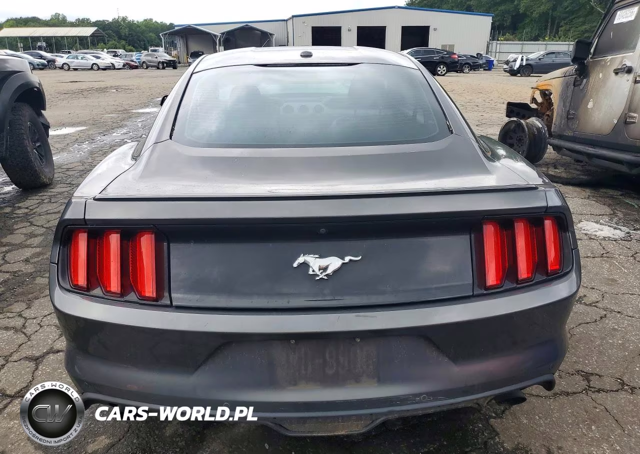 2016 Ford Mustang Bullitt VIN:1FA6P8TH8G5336505 - 6