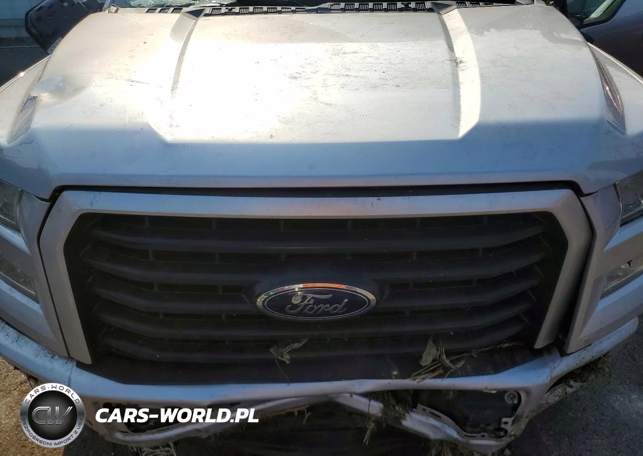 2016 Ford F150 Supercrew VIN:1FTEW1EP9GFB83714 - 11