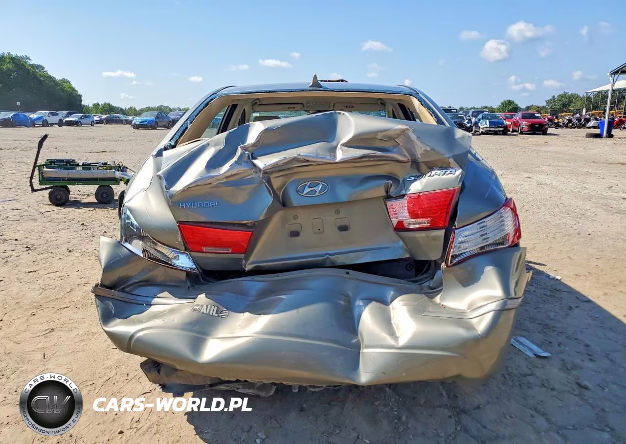 2010 Hyundai Sonata Gls VIN:5NPET4AC8AH629507 - 6