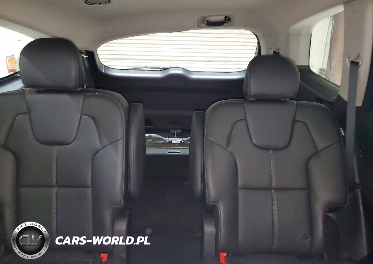 2023 Kia Telluride Ex VIN:5XYP3DGC8PG388032 - 10