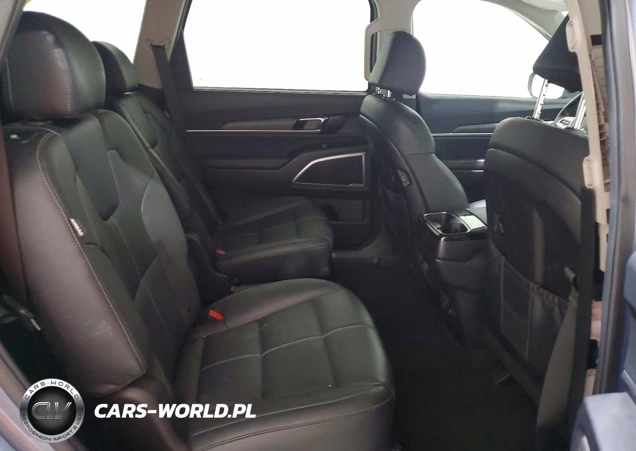 2023 Kia Telluride Ex VIN:5XYP3DGC8PG388032 - 11