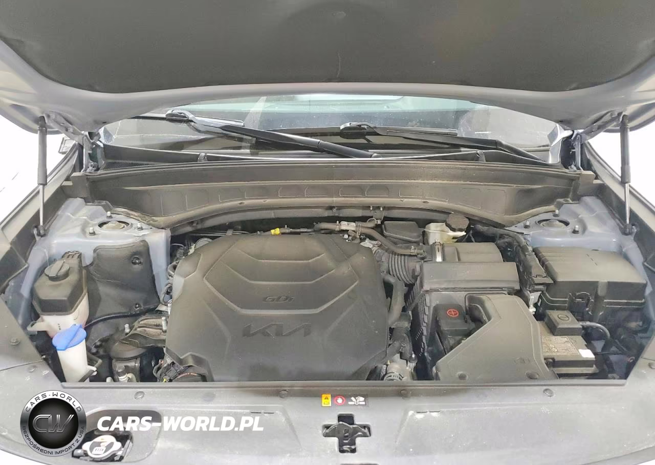 2023 Kia Telluride Ex VIN:5XYP3DGC8PG388032 - 12