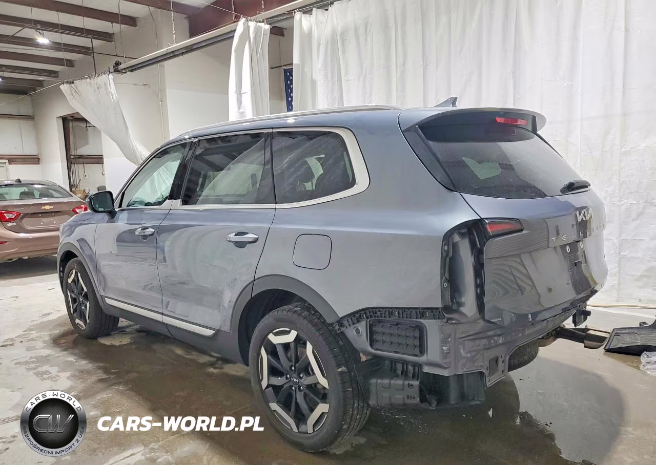 2023 Kia Telluride Ex VIN:5XYP3DGC8PG388032 - 2