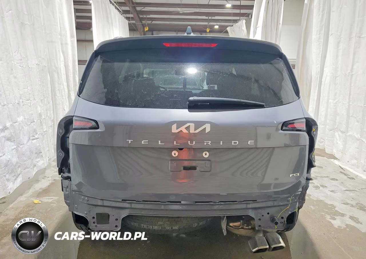 2023 Kia Telluride Ex VIN:5XYP3DGC8PG388032 - 6