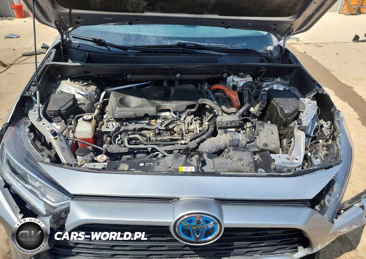 2021 Toyota Rav4 Xle VIN:4T3RWRFV5MU041755 - 11