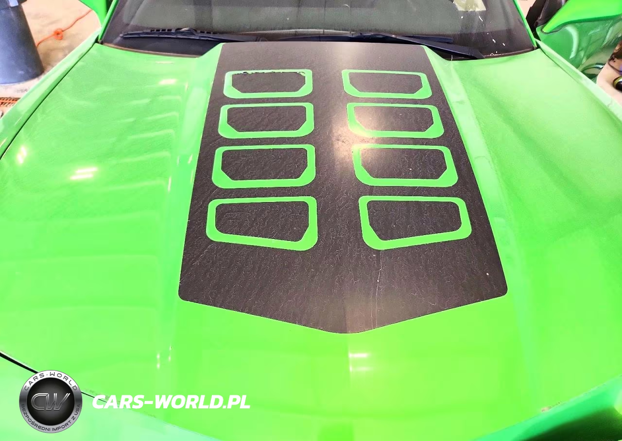2011 Chevrolet Camaro Ls VIN:2G1FA1ED7B9152917 - 11