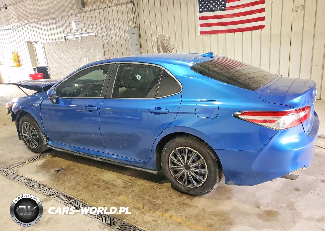 2020 Toyota Camry Le VIN:4T1L31AK9LU010979 - 2