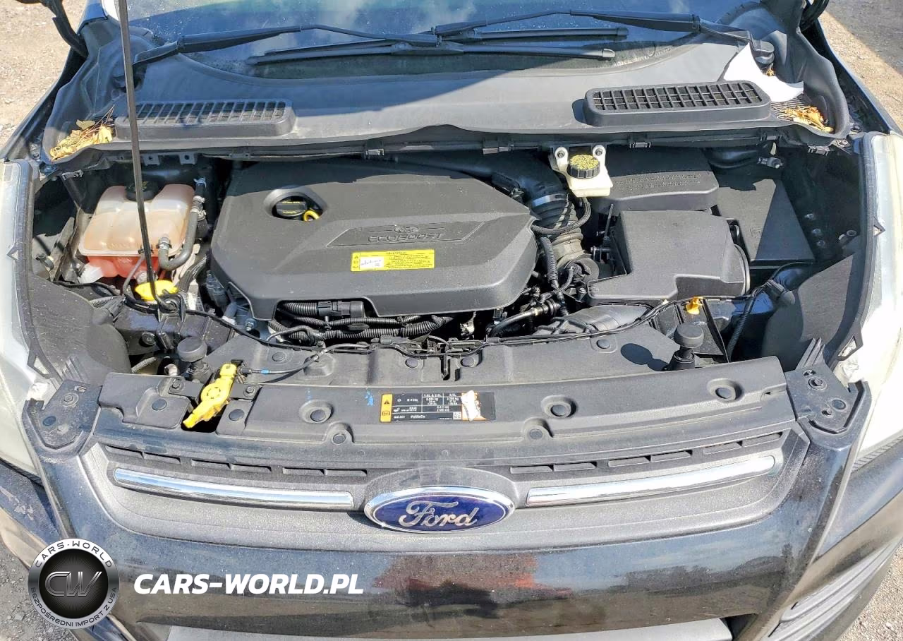 2014 Ford Escape Se VIN:1FMCU0GX6EUC46549 - 12