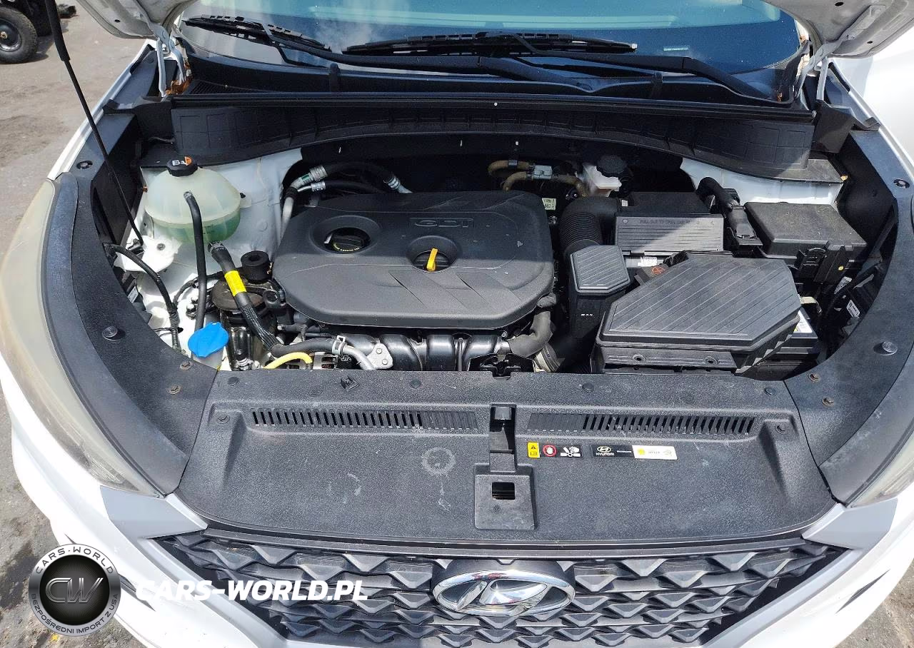 2019 Hyundai Tucson Value VIN:KM8J33A49KU847007 - 12