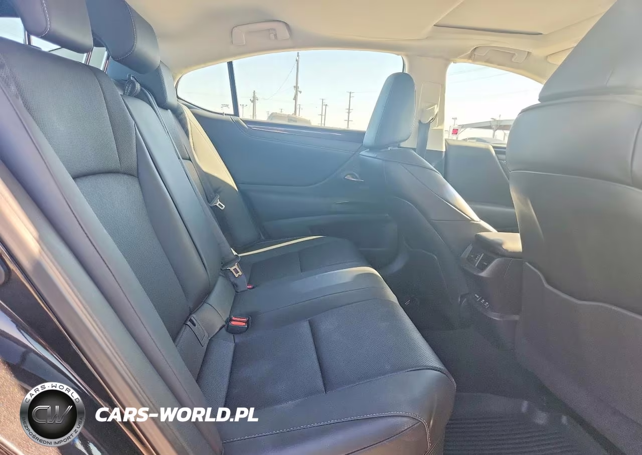 2019 Lexus Es 300H VIN:58AB21B16KU003872 - 10