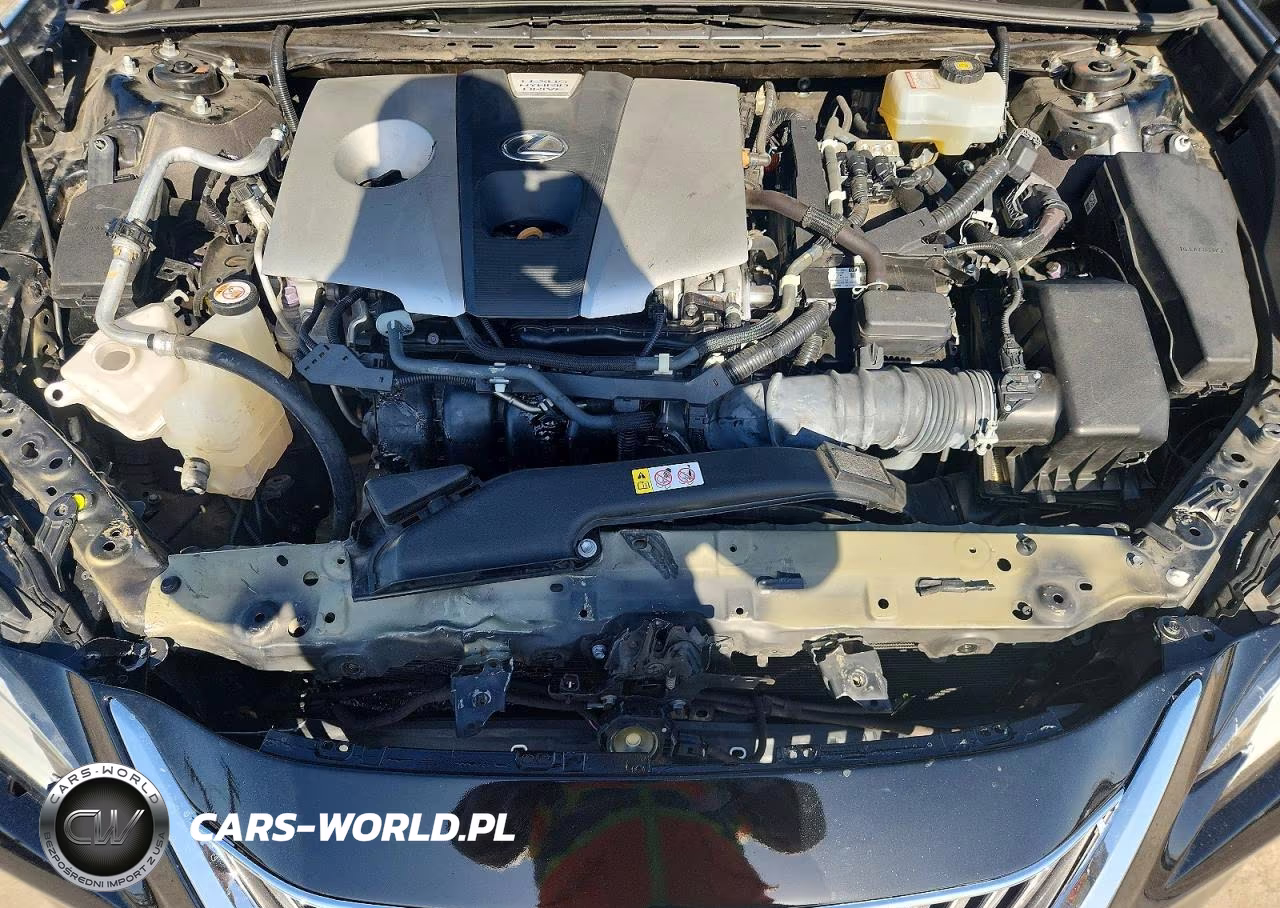 2019 Lexus Es 300H VIN:58AB21B16KU003872 - 11