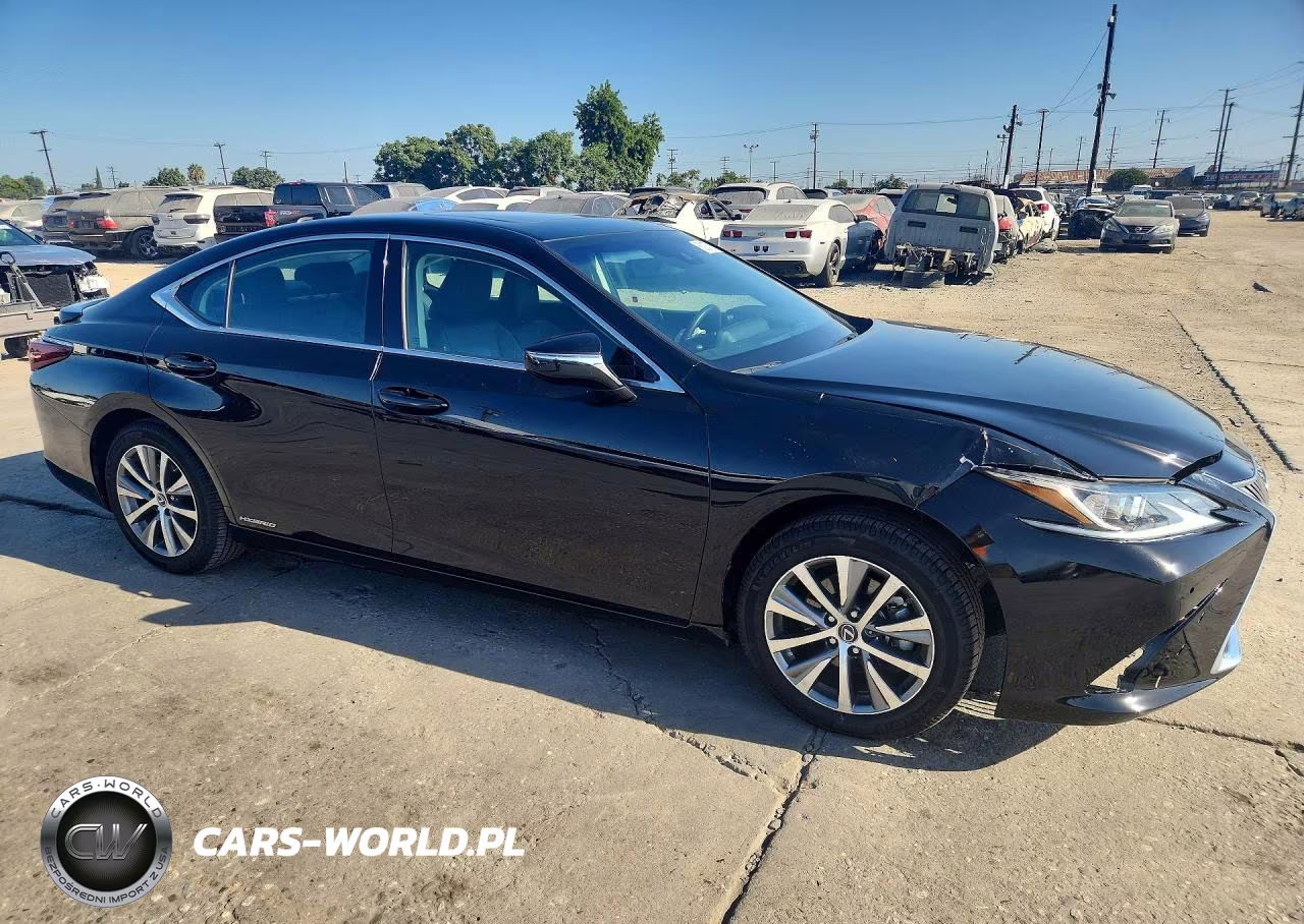 2019 Lexus Es 300H VIN:58AB21B16KU003872 - 4