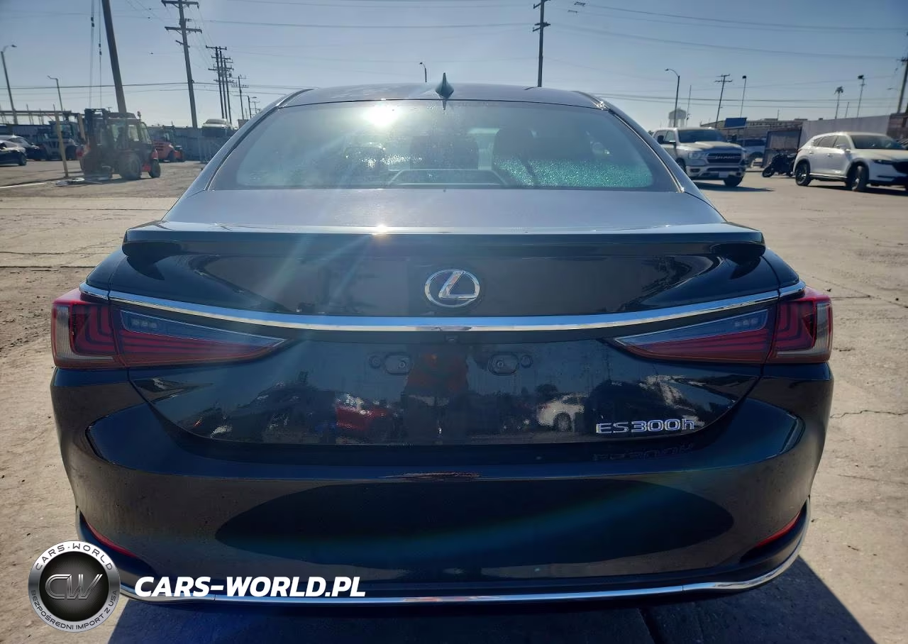 2019 Lexus Es 300H VIN:58AB21B16KU003872 - 6