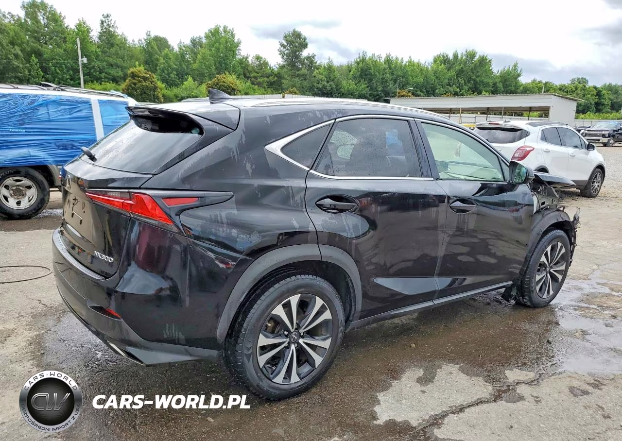 2018 Lexus Nx 300 F Sport VIN:JTJBARBZ9J2153310 - 3