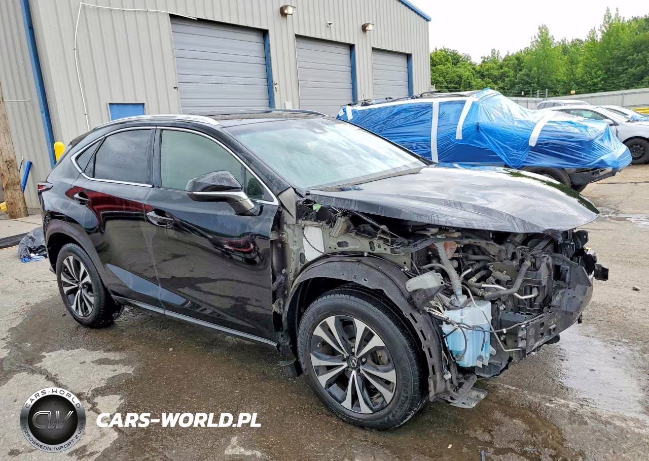 2018 Lexus Nx 300 F Sport VIN:JTJBARBZ9J2153310 - 4