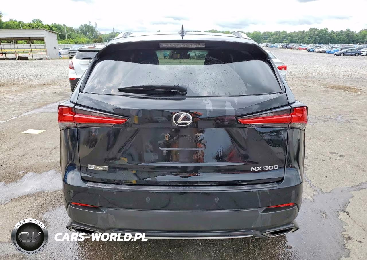 2018 Lexus Nx 300 F Sport VIN:JTJBARBZ9J2153310 - 6