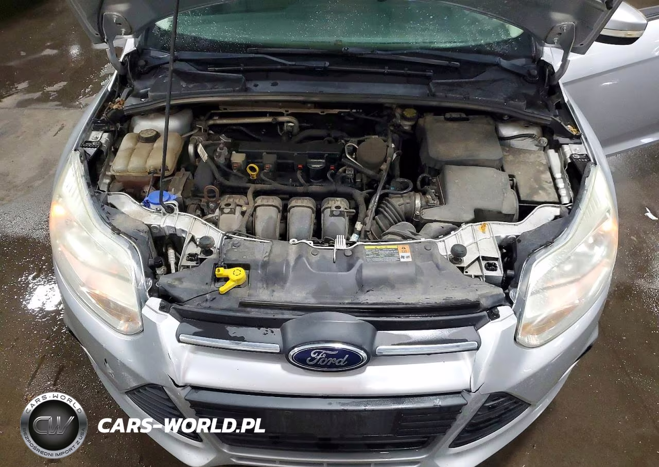 2013 Ford Focus Se VIN:1FADP3F29DL271026 - 11