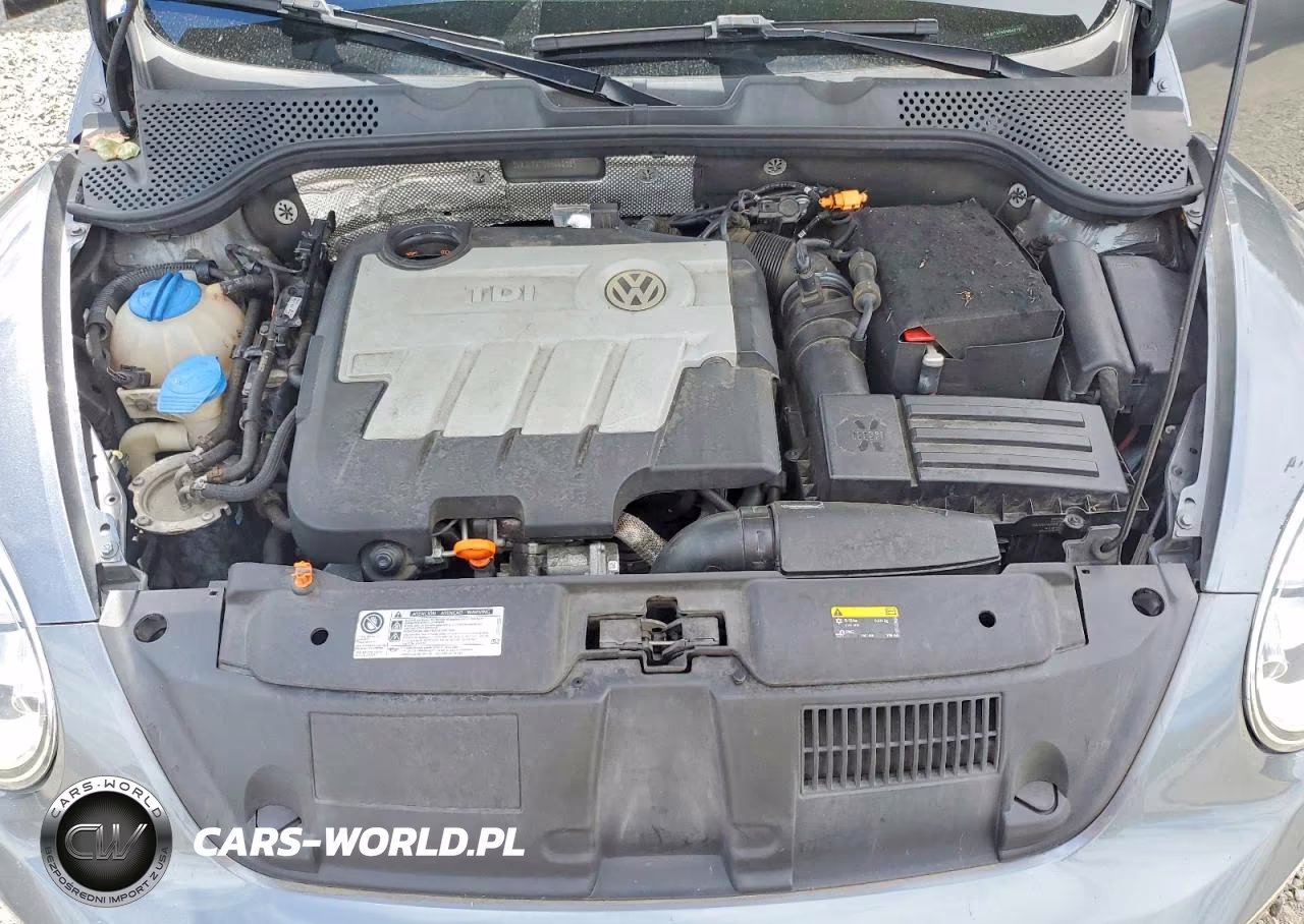 2013 Volkswagen Beetle VIN:3VWJL7AT5DM642131 - 11