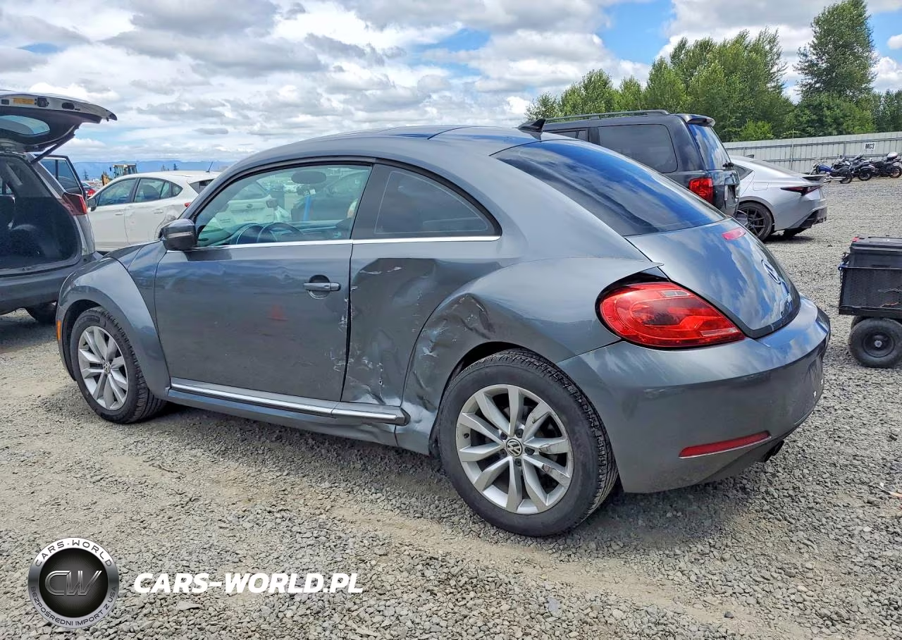 2013 Volkswagen Beetle VIN:3VWJL7AT5DM642131 - 2