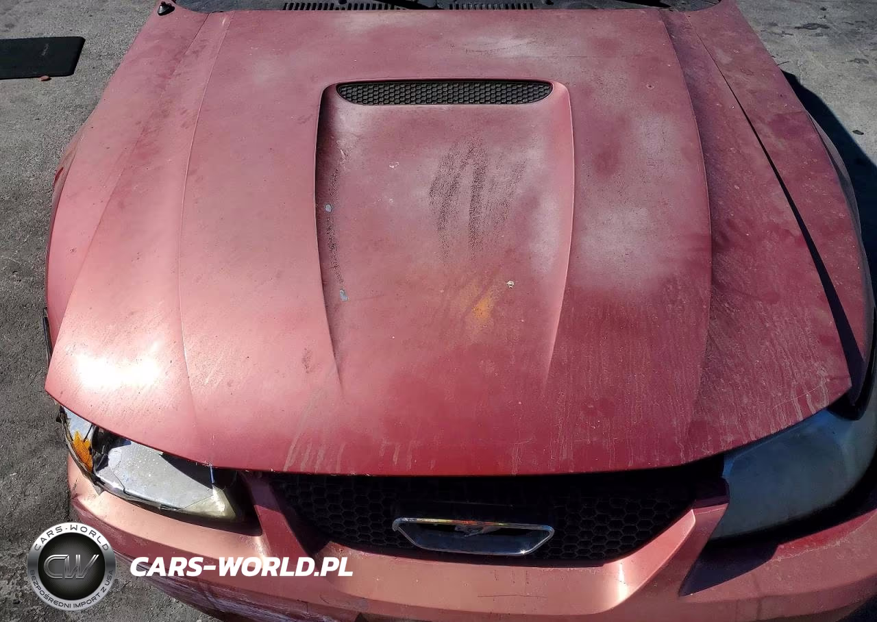 2000 Ford Mustang VIN:1FAFP4445YF307060 - 11