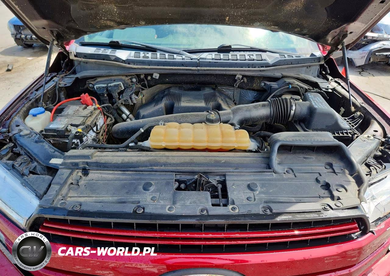 2019 Ford F150 Supercrew VIN:1FTEW1E45KKC69494 - 11
