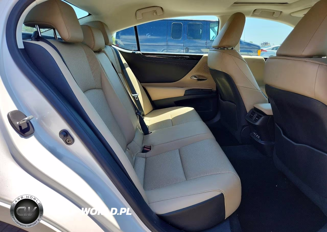 2021 Lexus Es 250 Base VIN:58AD11D19MU004395 - 10