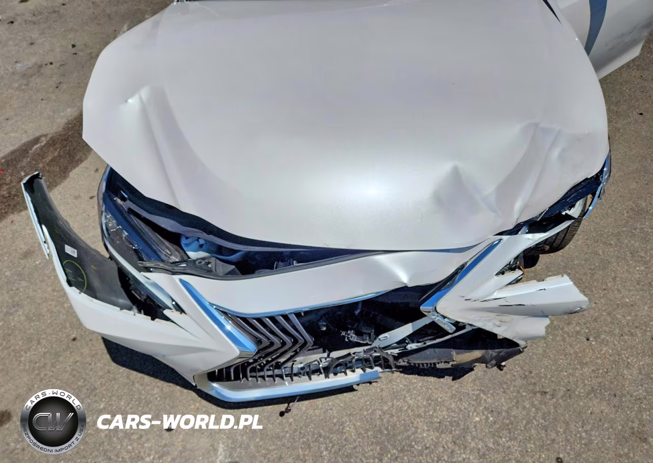 2021 Lexus Es 250 Base VIN:58AD11D19MU004395 - 11