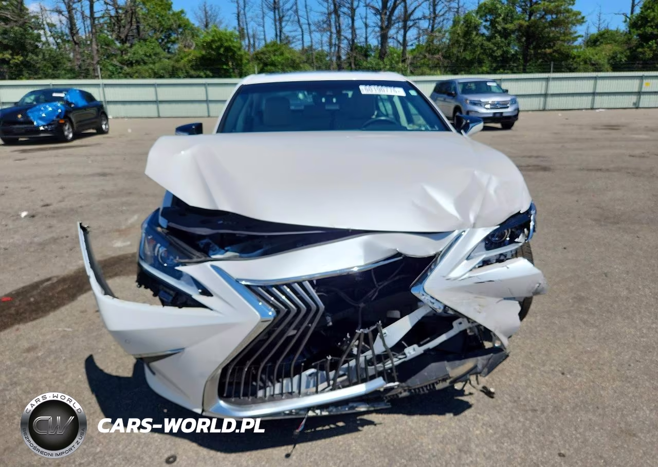 2021 Lexus Es 250 Base VIN:58AD11D19MU004395 - 5