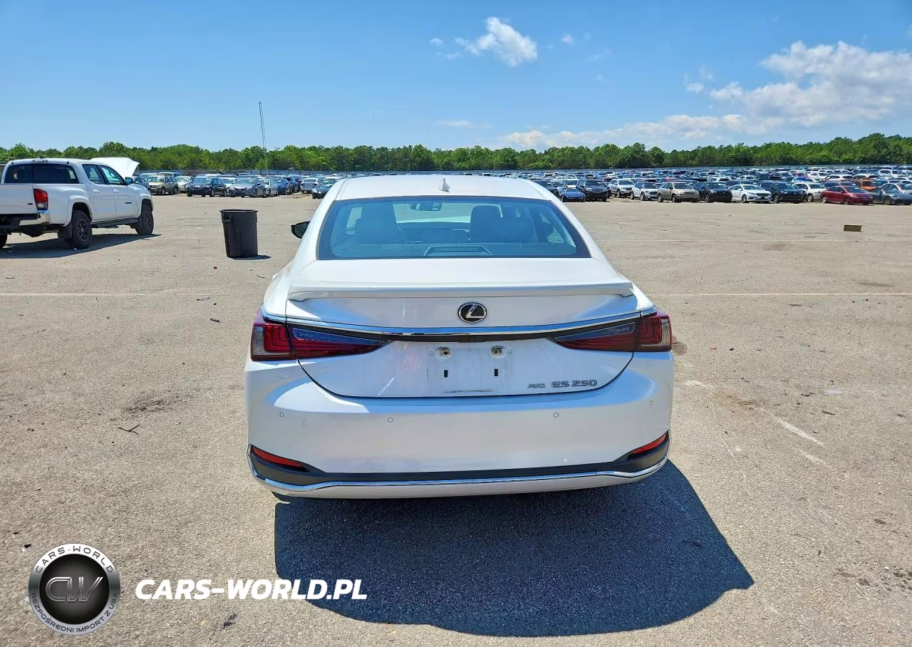 2021 Lexus Es 250 Base VIN:58AD11D19MU004395 - 6